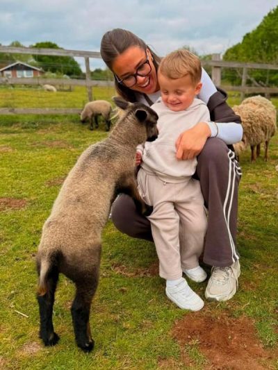 children-walking-sheep-bedfordshire sheep walking experience for children clophill, bedford