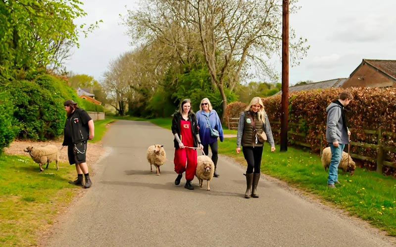 family on a sheep walking experience in Clophill